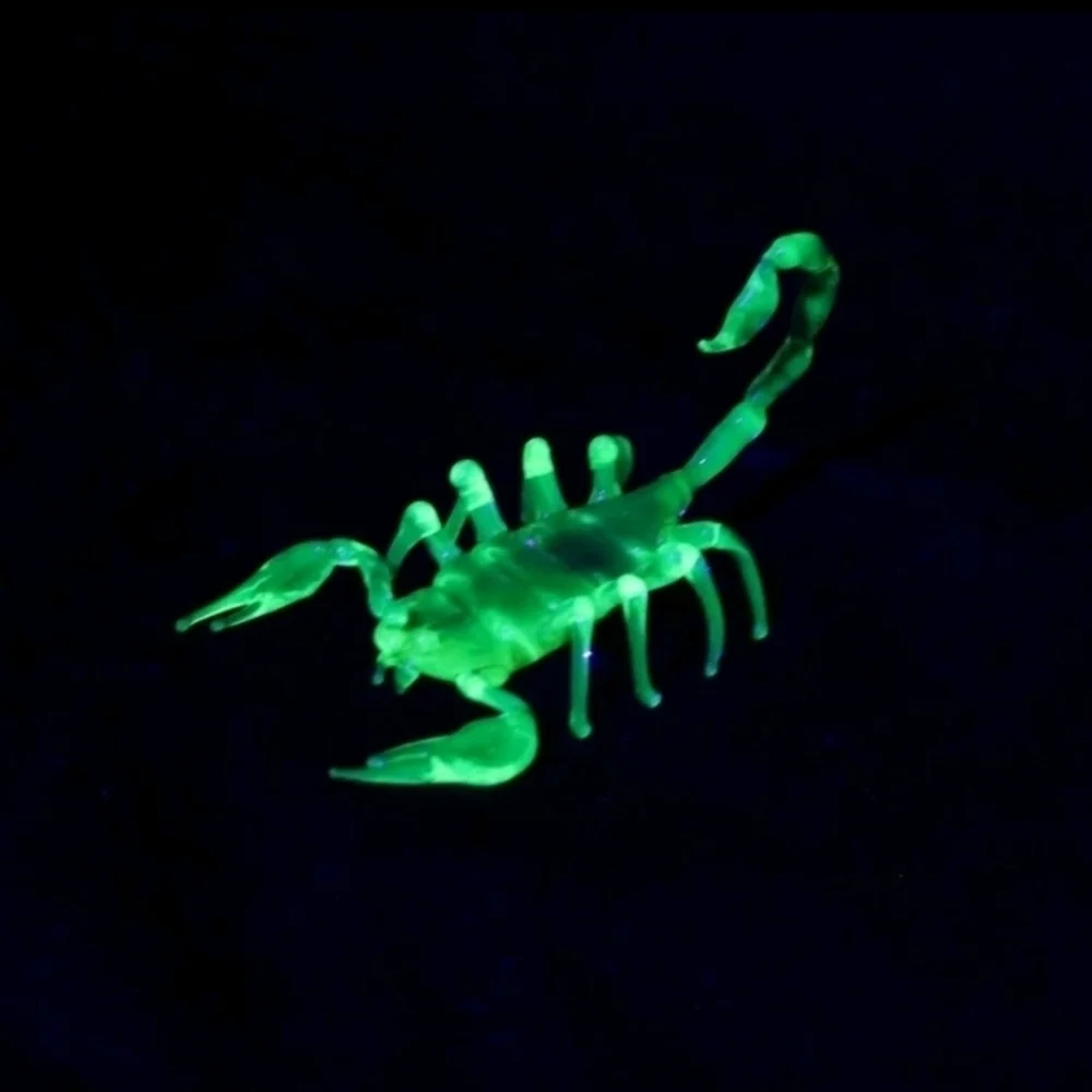 Glowing Green Scorpion Reptile Decor